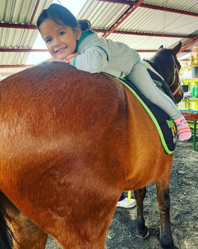 Estimulación temprana con caballos