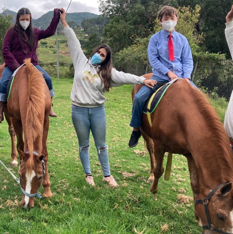 Niña alimentando caballo