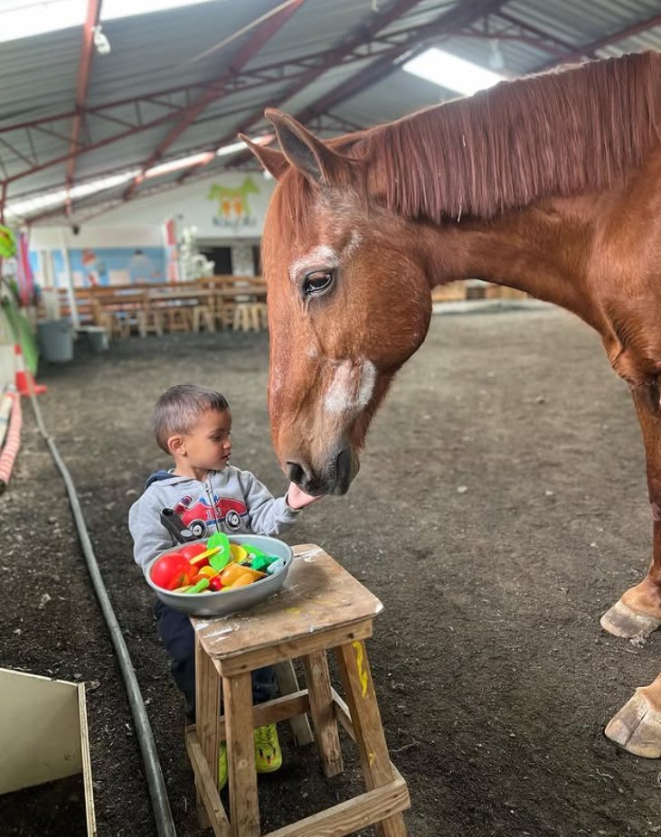 Psicología asistida con caballos